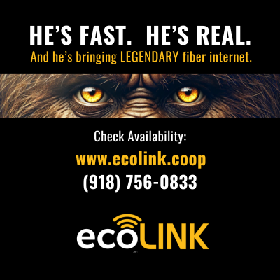 ecoLINKFastReal_400x400