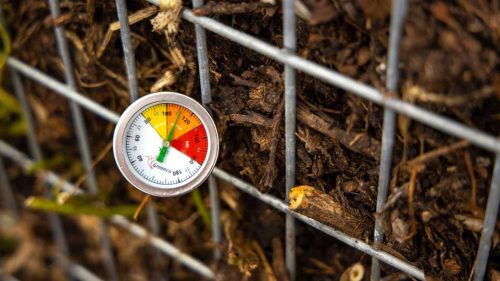 compost