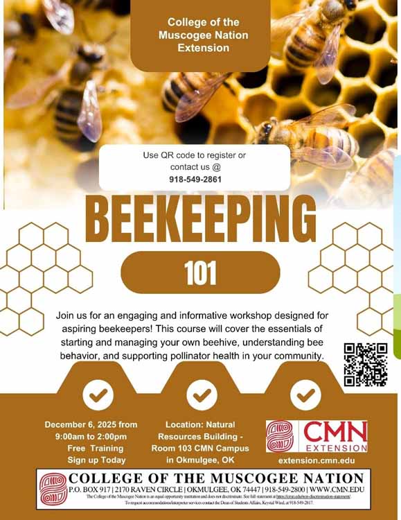 GetAttachmentThumbnail