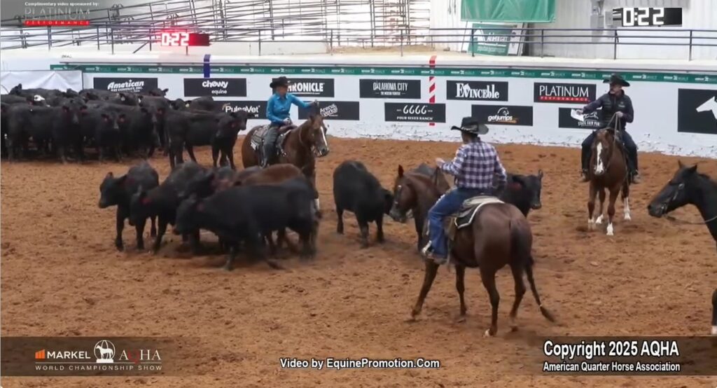 AQHA World Championship Show – 2025 Select Cutting World Champion