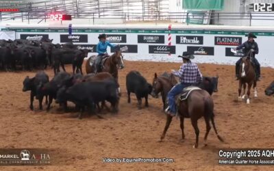 AQHA World Championship Show – 2025 Select Cutting World Champion
