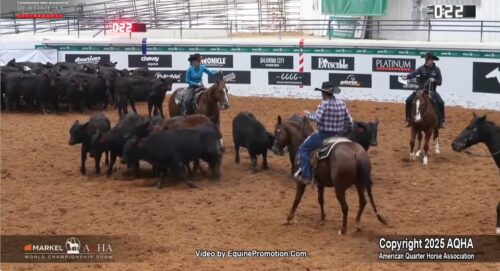 AQHA World Championship Show – 2025 Select Cutting World Champion