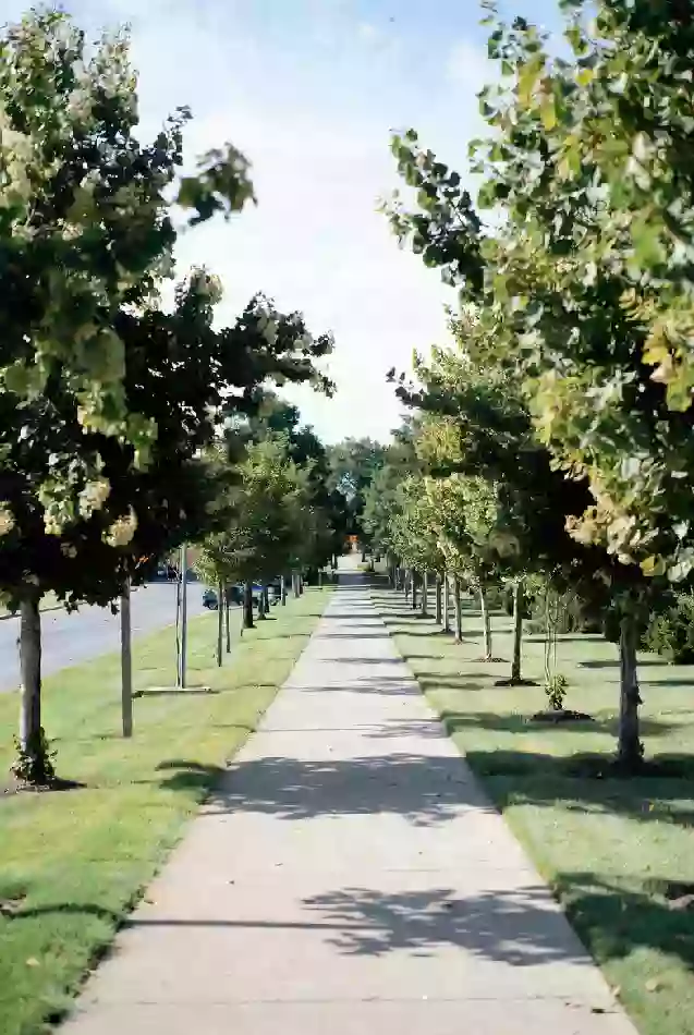 Peaceful public park with walking path and trees in Holdenville