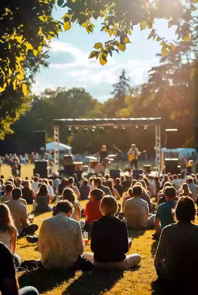 People enjoying live outdoor concert on park lawn