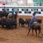 AQHA World Championship Show – 2025 Select Cutting World Champion