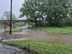 495433600_1241134948019978_3265308333937843177_n