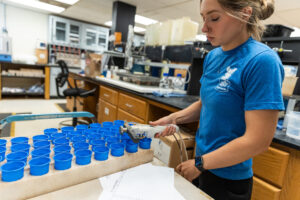 Soil Testing