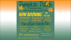 pumpkin-patch-300x169