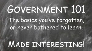 Government-101-graphic-1-300x166 (1)