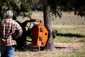 54052465221_d6e6353d24_c-300x200