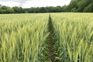 54155156826_a27184a065_c