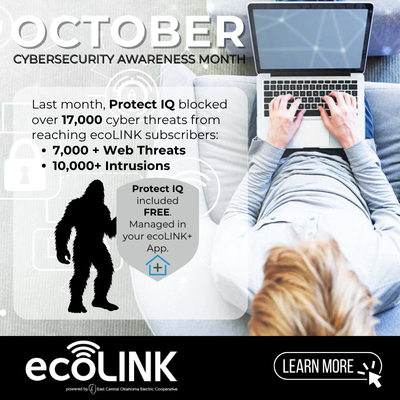ecoLINK_Cybersecurity_400x400