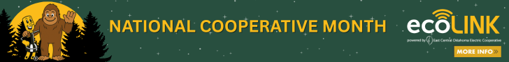 ecoLINK_CooperativeMonth_Banner_728x90