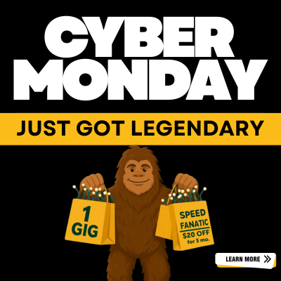 ecoLINK_CyberMonday