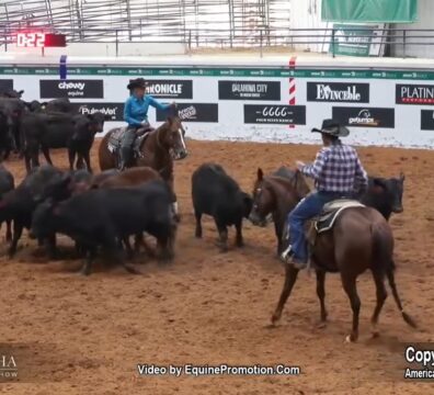 World Championship Show