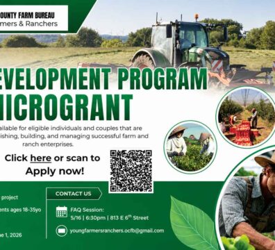 DEV-PROGRAM