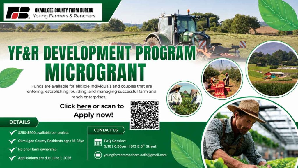 DEV-PROGRAM