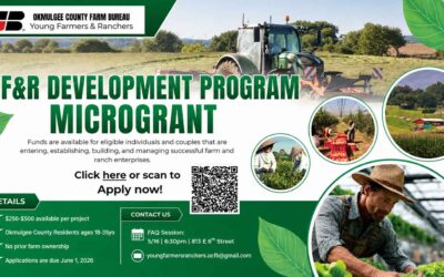 DEV-PROGRAM