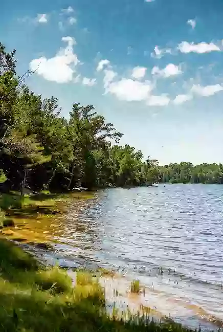Shoreline and open water at Lake Eufaula on a bright summer day
