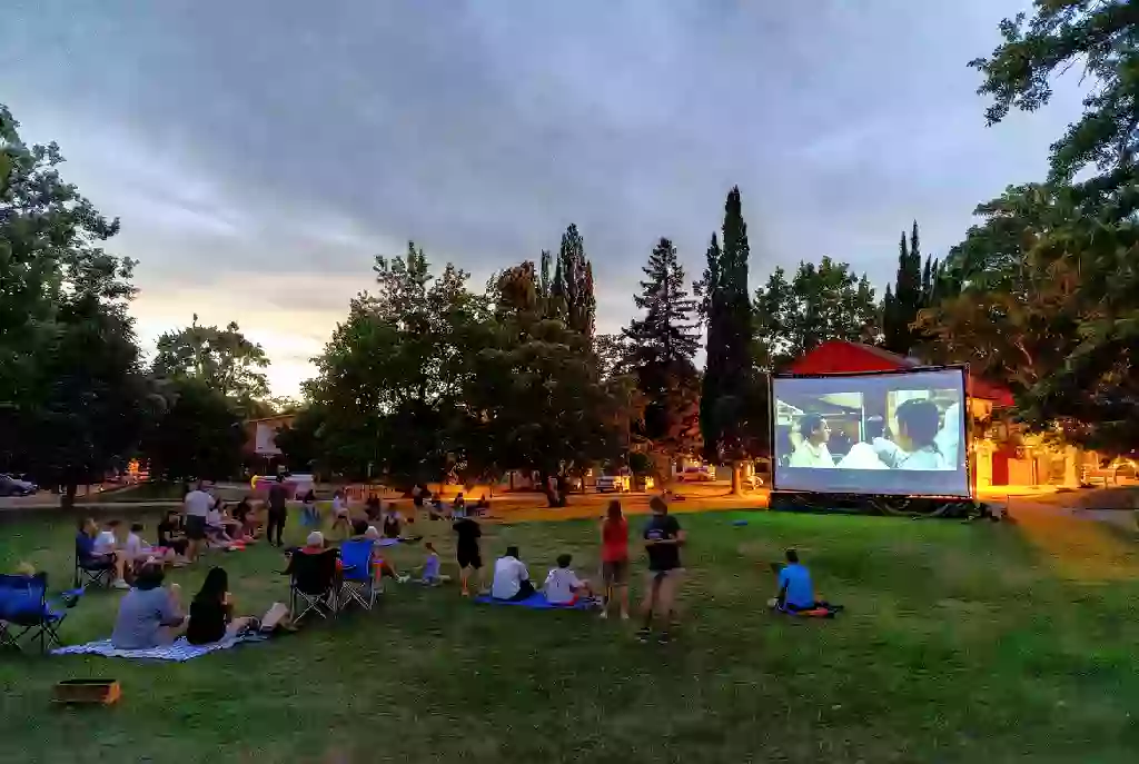 Families gathered for a free outdoor movie night in an Ada park