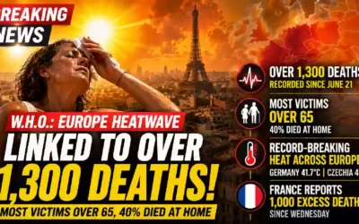 Europe heatwave crisis over 1,300 deaths