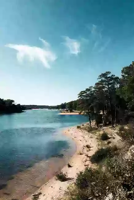 Shoreline and open water at Lake El Reno on a bright summer day