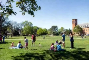 Free outdoor community event with families gathered in a Duncan park