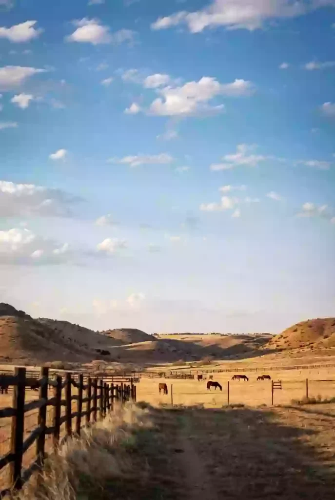 Ranching and agricultural activity in Texas County Oklahoma Panhandle