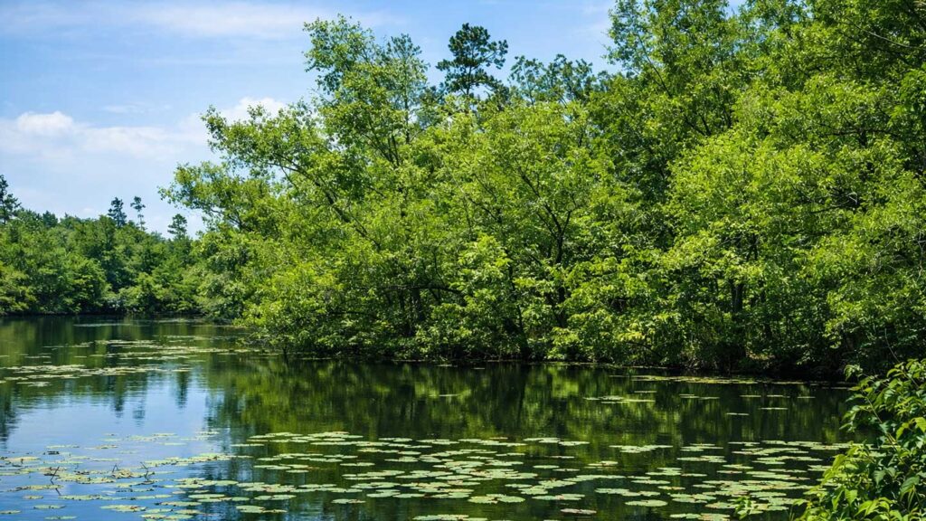 About-McCurtain-County-Local-News