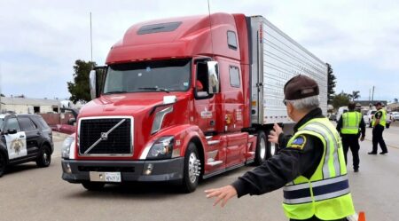 Illegal Truck drivers