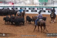 AQHA World Championship Show – 2025 Select Cutting World Champion