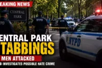 Central Park crime scene with NYPD officers and police vehicles investigating two separate stabbings in New York City as detectives examine a possible hate crime.