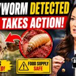 USDA Moves Quickly After New World Screwworm Detection: Ranchers Urged to Stay Vigilant